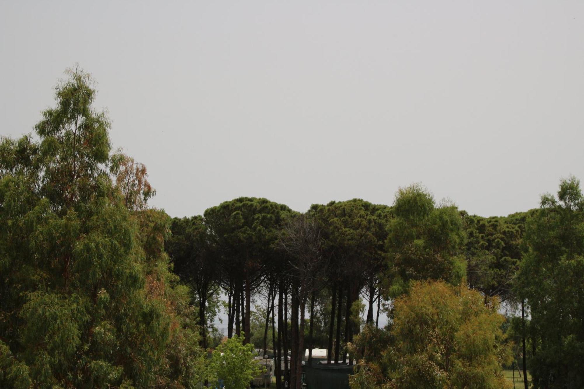 Levante Marina di Schiavonea Exterior foto